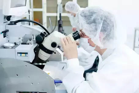 Management de la qualité - Document en exemple